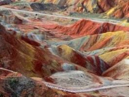 丹霞生物（哪一类的生物化石最可能在张掖丹霞地层中被找到？）