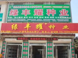种业公司 全国最大花卉种子公司？