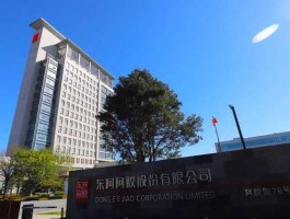 东阿阿胶股票？东阿阿胶是国企还是民企？
