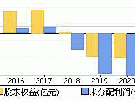 002356，002356为什么未分配利润是负数？