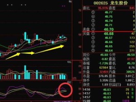 龙生股份股票 龙股份是什么股票？