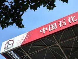 中能国际（中能国际石化有限公司是民营性质吗？）
