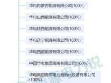 中电投吉电股份 中电国际有哪些子公司？