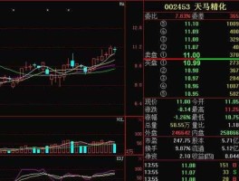 天马精化002453？带马字的股票有哪些？