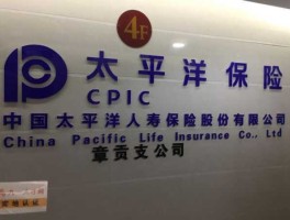 太平洋保险股，为啥叫中国太平洋保险？