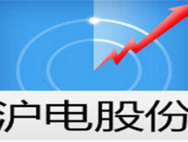 沪电股份？沪电股份是国有企业吗？