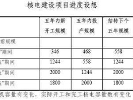 核电中长期发展规划，中国核电发展技术是什么？