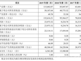 300894？2020年12月有哪些公司上市？