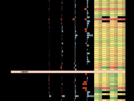 600555，600555退市后现在什么情况？