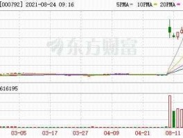 西藏城投（世界锂矿企业储量排名？）