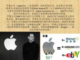 苹果公司（苹果公司在华机构全称是？）