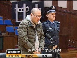王晖，主角叫王晖的恶魔领主小说