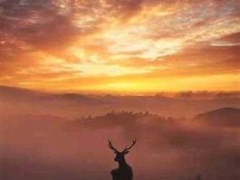 002113（奔驰气囊b002113故障码解决方法？）