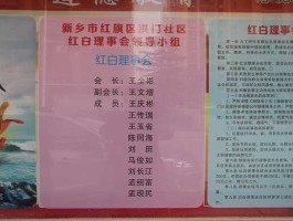 什么是理事会（为什么叫红白理事会？）
