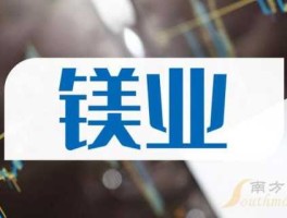 002392？金属镁上市龙头公司？