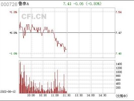 鲁泰a股吧 B股全称？