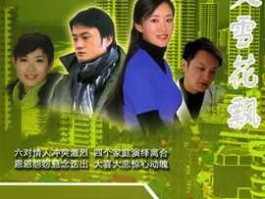 冷雪松（雪花飘大结局怎么样？）