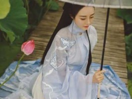 塞上风 执剑孤殇什么意思？
