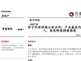 000718股票？苏宁环球和苏宁置业的关系？