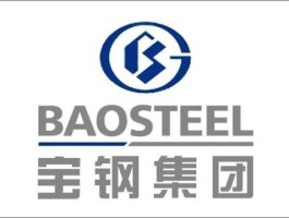 600019宝钢股份，宝钢的全称是什么？