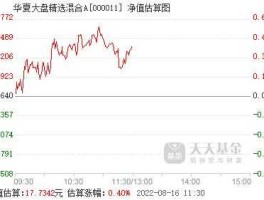 华夏大盘精选基金 华夏大盘精选定投好吗？