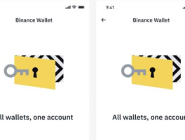 如何使用币安钱包购买热门代币