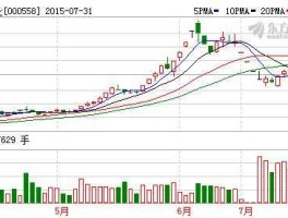 000558莱茵置业 电竞上市公司有哪些？