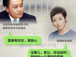 黄光裕 杜鹃（国美杜鹃如何拯救国美？）