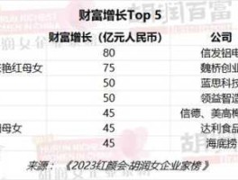 嘉鑫控股（介绍一下中国富豪前十名的资料？）