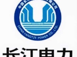 长江电力股份 长江电力的顶级供应商是什么公司？