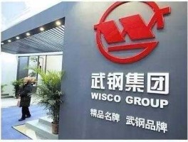 武钢股份有限公司？武钢钢电股在汉口哪里办理过户？