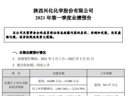 兴化股份？兴化股份主营业务？