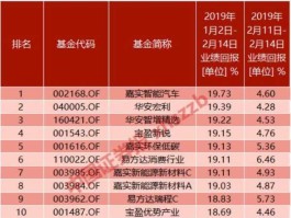 b股基金？新能车b基金是什么意思？