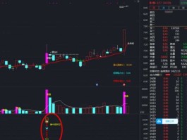 000099，证券系统其它错误[T000099]是什么意思？