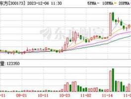 300173股票 福能东方是国企吗？