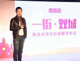 蘑菇街ceo陈琪（蘑菇街的网站功能和服务？）