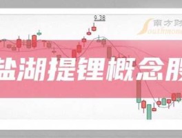中电环保股票（盐湖提锂储能方面的股票？）