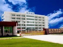 天兴仪表股吧（兵器装备集团在武汉有哪些公司？）