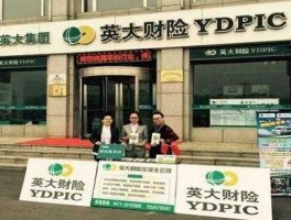 英大泰和车险电话，国网英大集团保险公司车险怎么样？