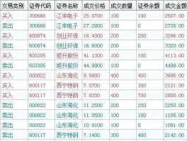 900927股票 上交所2开头的是什么股票？