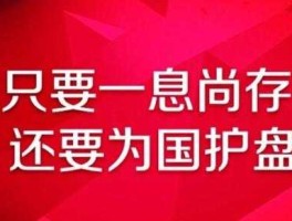 为国护盘？十个字的网络热词？