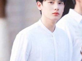 胡先煦 胡先煦为什么这么好看？