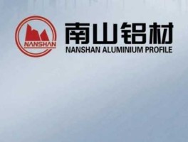 南山铝业，南山铝业发展理念？