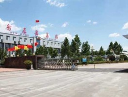 东岳集团（东岳集团有限公司介绍？）
