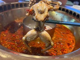 牛蛙价格（自助牛蛙为什么便宜？）