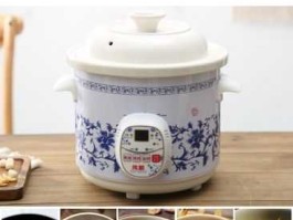伟能 伟能电炖锅使用方法？