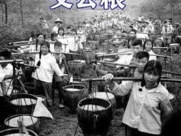 交公粮 农民的公粮是谁免的？