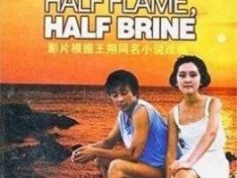 一半是火焰一半是海水（“一半是火焰一半是海水”是什么意思啊？）
