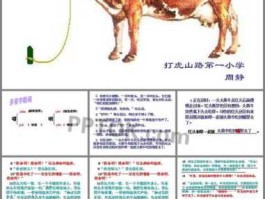 玩逗（蟋组词组2个字？）