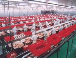 金锣吧，金锣的一线工人都做些什么？工作累不累？是一个女生可以承受的吗？